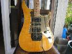 Excalibur Custom Gold Vigier Excalibur